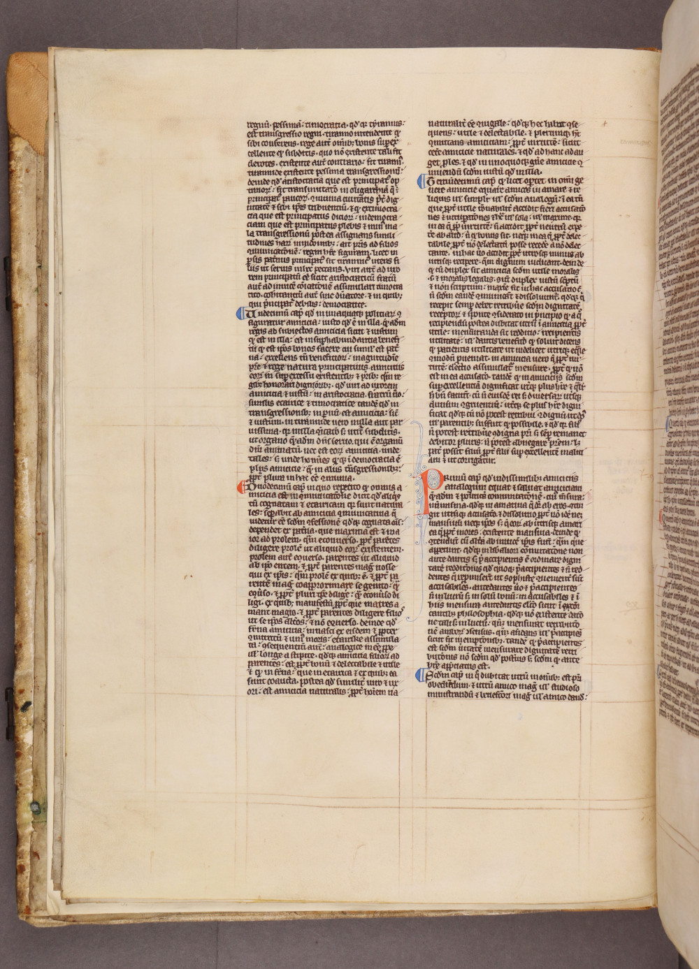 Folio 7 verso